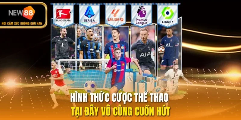Hình thức cược thể thao tại đây vô cùng cuốn hút