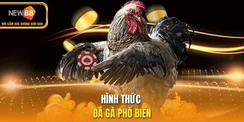 Hình thức đá gà phổ biến