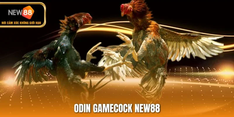 Odin GameCock NEW88
